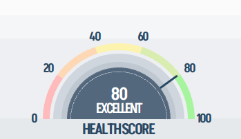 Health gauge inside the live-data overlay