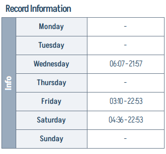 Top — Record Information per-day rows